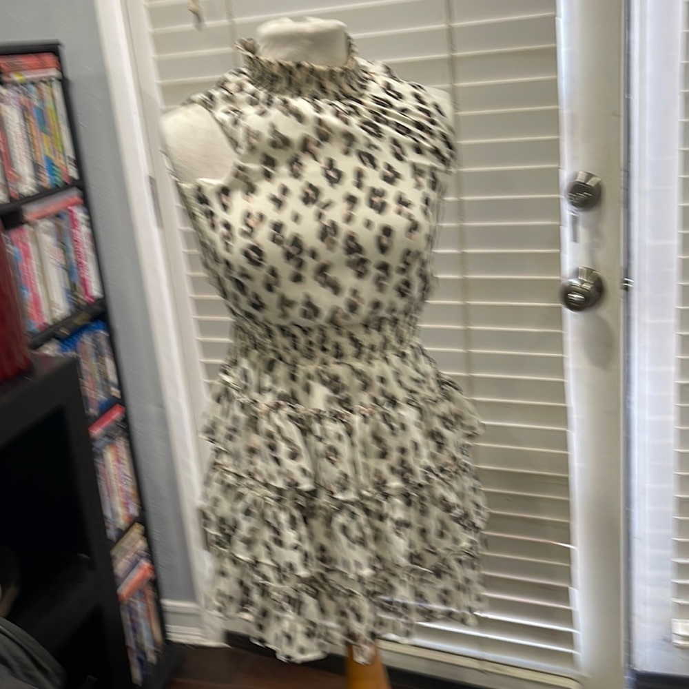 Chiffon ruffled mini dress